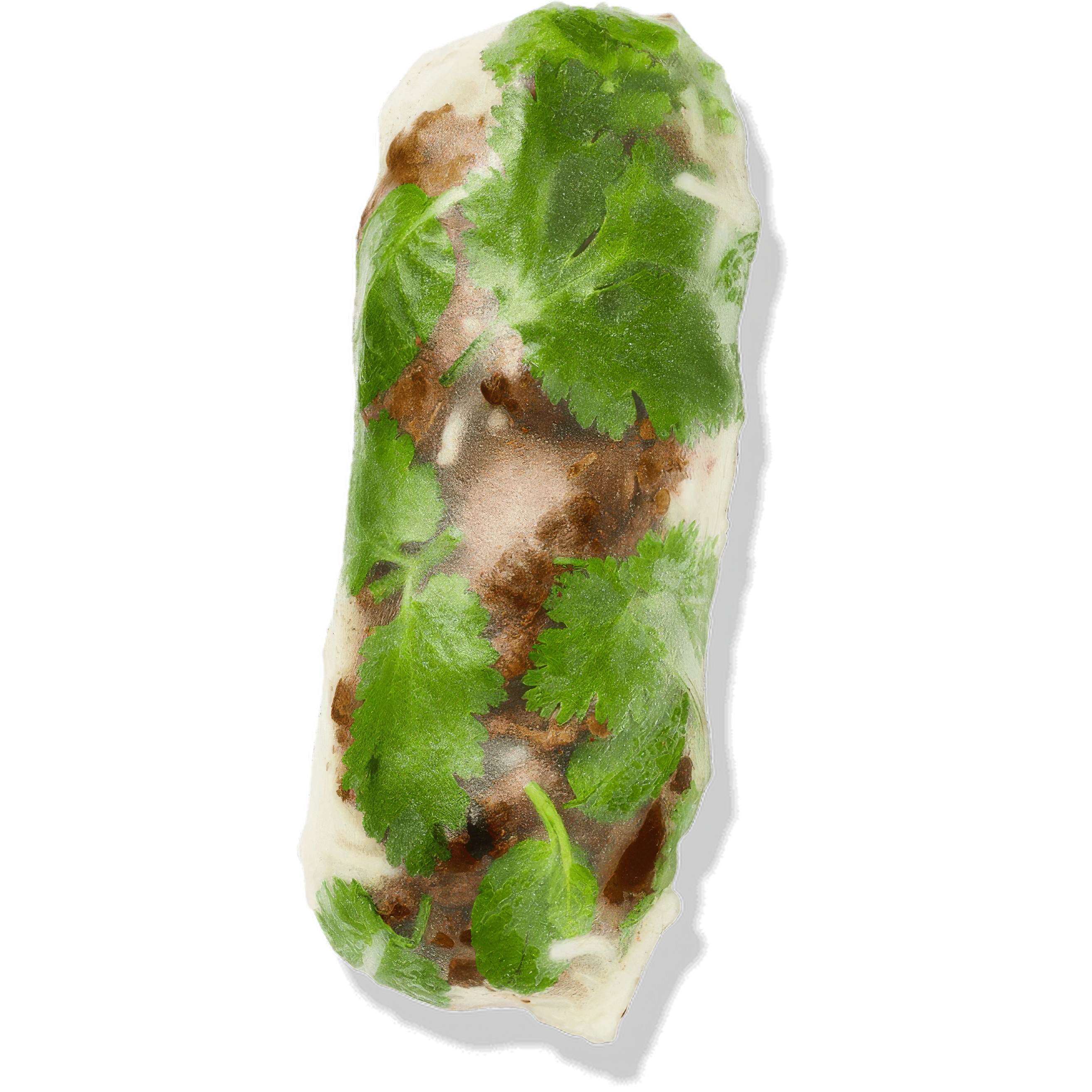 Lemongrass Beef Rice Paper Roll