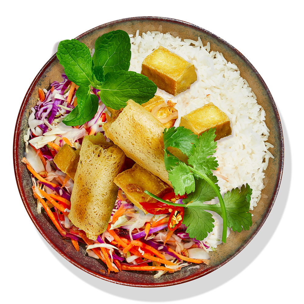 Tofu & Vegetable Spring Rolls