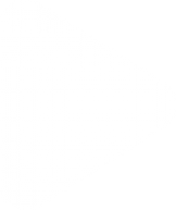 white-play-icon white-play-icon